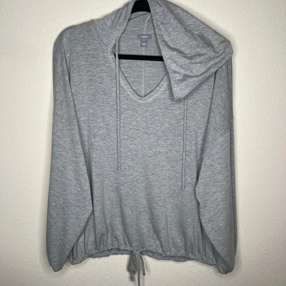 Aerie Oversized Long Sleeve Hoodie